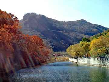 澳门天天开奖免费资料，岩棉夹芯板厂家